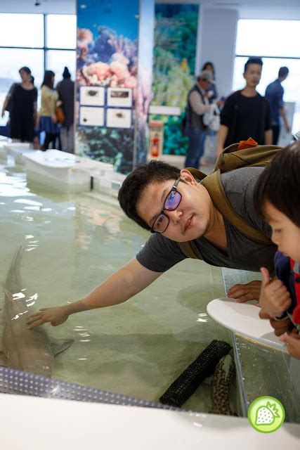 OSAKA AQUARIUM @ OSAKA | Malaysian Foodie