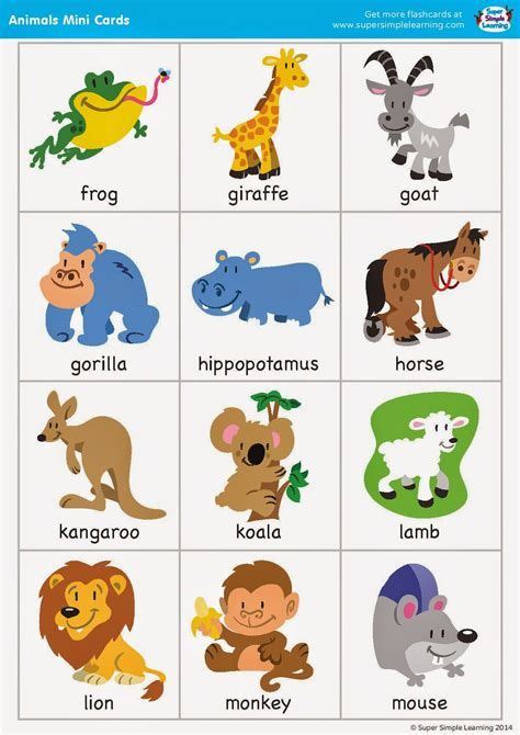 Super simple songs animals mini cards super simple – Artofit