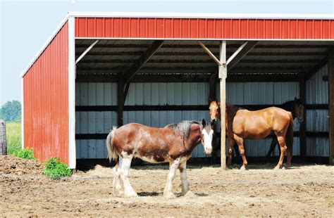 Dry Lot and Shelter Sizes for Horses | Horse shelter, Run in shed, Horses