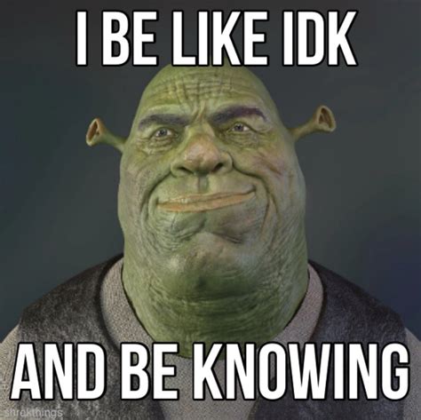 I Be Like IDK And Be Knowing meme | I Be Like IDK And Be Knowing | Know Your Meme