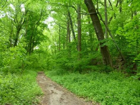 Most Beautiful and Unique Hiking Trails in Indiana - Waking Up Wild | Waking Up Wild