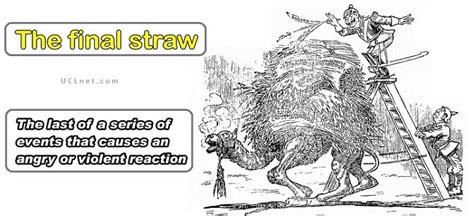 The Last Straw Drawing / I am not going to wait for the last straw like you. - Lagvard