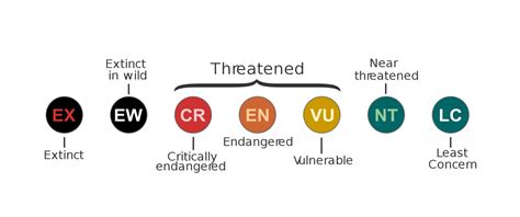 Exploring The IUCN Red List of Threatened Species | Biodiversity Projects