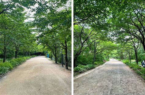 Seoul Forest Park – SEOULSHOPPER