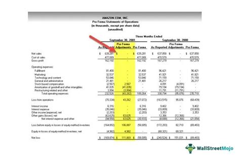 Pro Forma Income Statement - What Is It, Examples, Types