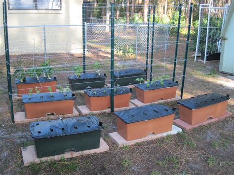 Our Earth Boxes Earthbox Gardening, Hydroponics, Container Gardening, Outdoor Projects, Outdoor ...