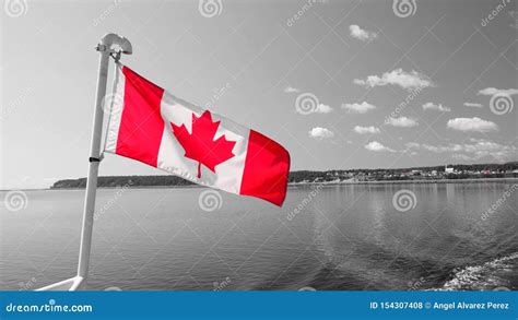 Canadian Flag in Red and White Stock Photo - Image of country, maple ...