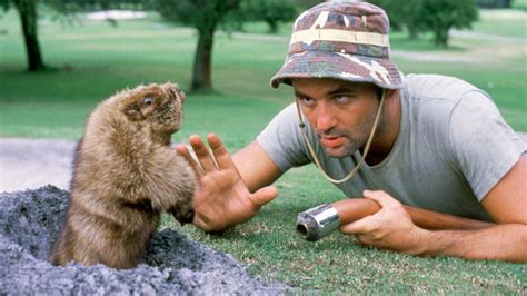 Caddyshack revisited: Cindy Morgan shares memories of cast members in ...