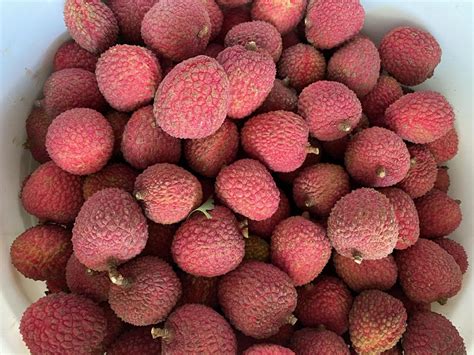 Lychee Fruit ~ Fresh Organic Fragrant and Delicious 2 lbs