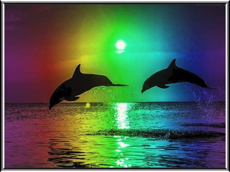 Leaping Dolphins in the Rainbow Colored Moonlight. | Arte del delfín ...