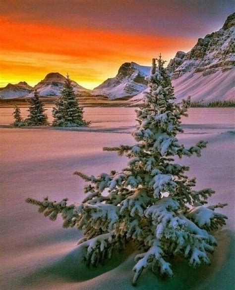 Pin by William on Beautiful Nature scenes | Winter pictures, Winter ...