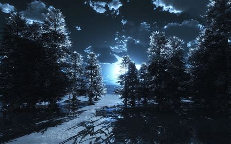 Moonlight Forest Wallpapers - Top Free Moonlight Forest Backgrounds - WallpaperAccess