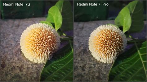 Redmi Note 7 Pro vs Redmi Note 7S Camera Comparison: The Battle of the ...