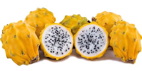 Pitahaya: ¿cuáles son sus principales beneficios y propiedades?