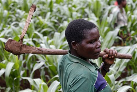 How prizes can encourage African farmers to embrace innovation