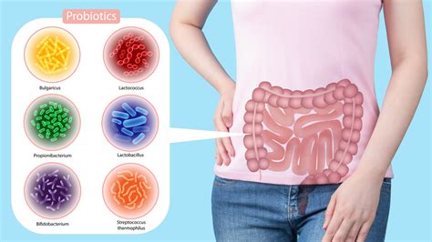 Determining the Ideal Probiotic Dosage for Health Results