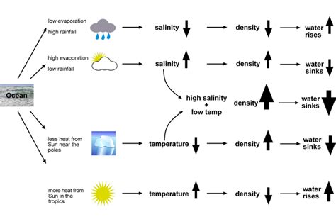 Ocean salinity, temperature and density — Science Learning Hub