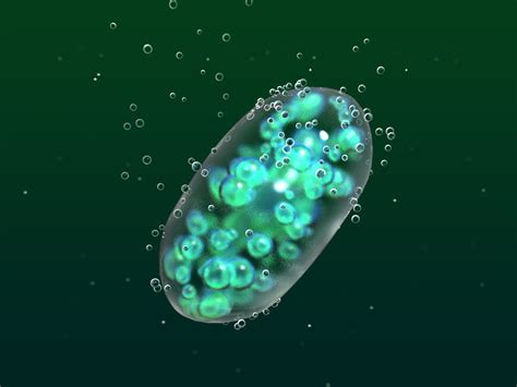 cyanobacterium oxygen photosynthesis 3d c4d