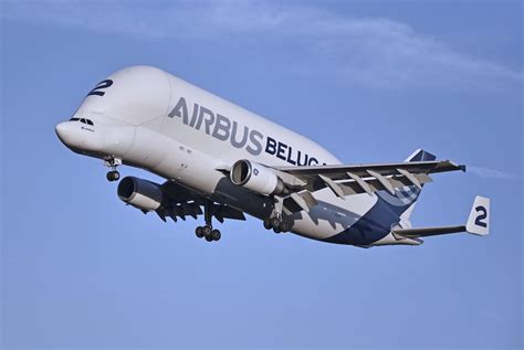 Airbus Beluga and Beluga XL Super Transporters