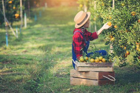 New technology prevents heat illness for farm workers | AGDAILY