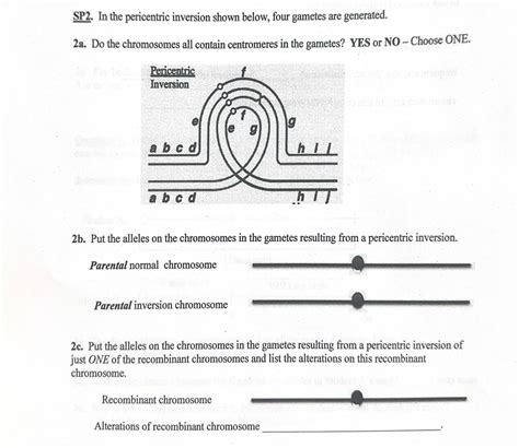 Solved SP2. In the pericentric inversion shown below, four | Chegg.com