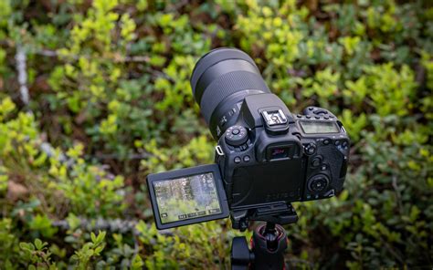 Canon EOS M6 Mark II and EOS 90D officially. A fast toddler and an SLR detecting the eye