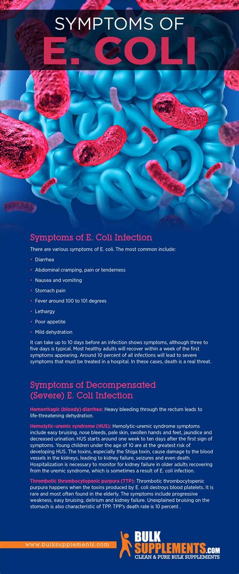 E Coli Outbreak 2024 Symptoms And Treatment - Ardith Gwendolin