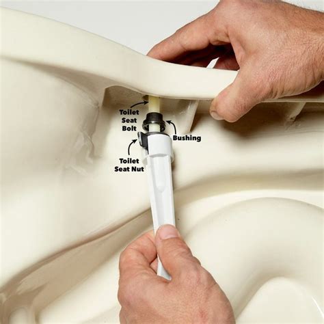 Toilet Seat Repair: Keep Your Seat Tight (DIY) | Family Handyman