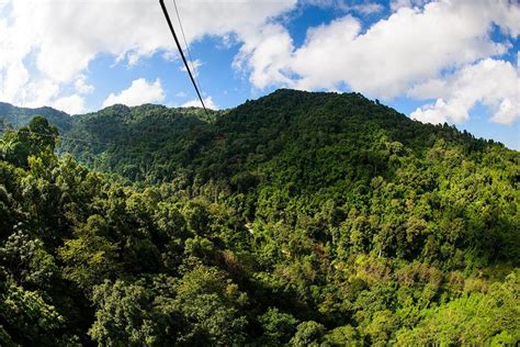 Zipline - Skyline Adventure