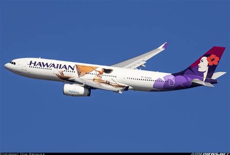 hawaiian airlines logo history - Jordon Forman