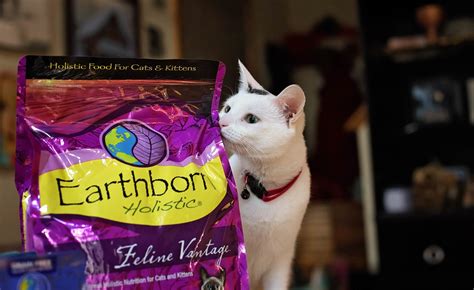 The Best Cat Nutrition for Your Feline Friend | Earthborn Holistic Pet Food