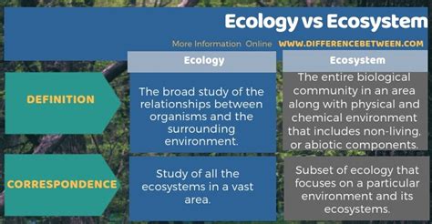 Difference Between Ecology and Ecosystem | Compare the Difference Between Similar Terms