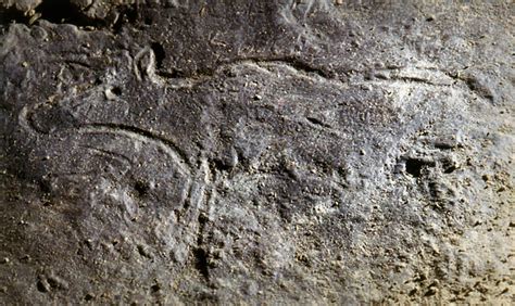 Cave Art Paintings of Animals in the Niaux Cave France