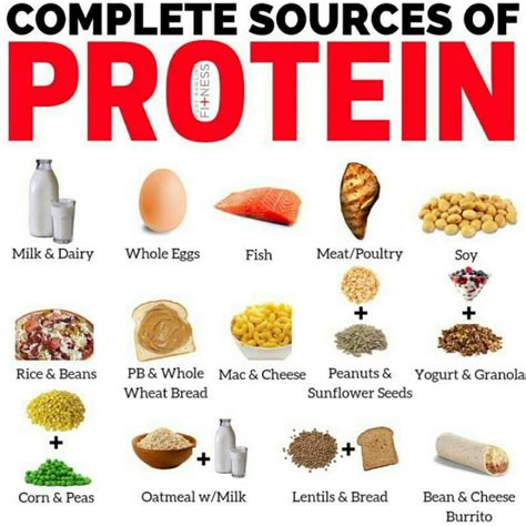 proteins examples list at DuckDuckGo | High protein foods list, High ...