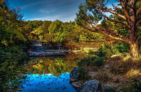 germany, Parks, Pond, Bavaria, Hdr, Trees, Sendling westpark, Munich ...