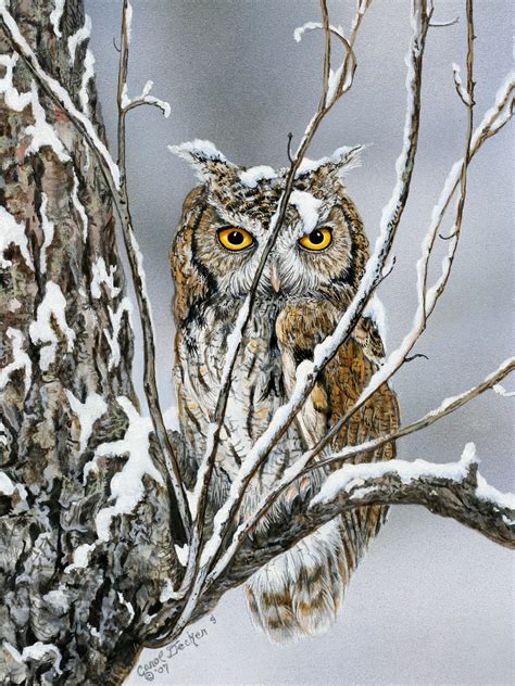 Sheltered – Wildlife Art Studio