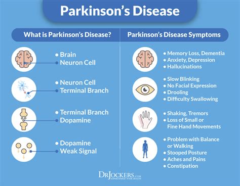 17 Action Steps to improve Parkinson's Disease - DrJockers.com