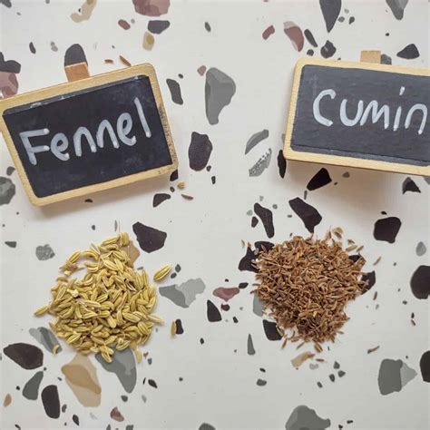 Difference Between Fennel Seeds vs Cumin Seeds - Eat Like No One Else