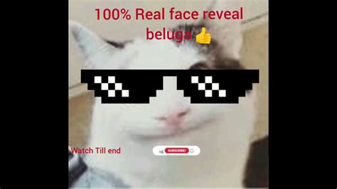 Beluga face reveal 100% real - YouTube