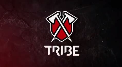 Tribe Gaming signs ex-Omen Elite Brawl Stars roster, will be competing ...