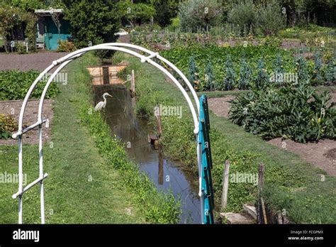 EXCURSION IN THE MARSHES OF BOURGES, CHER (18), CENTRE, FRANCE Stock ...