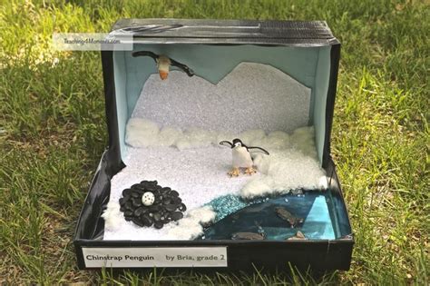 21 best Penguin Project images on Pinterest | School projects, Diorama ...