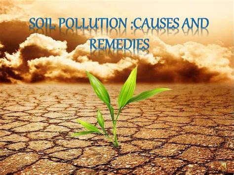 Soil pollution ppt