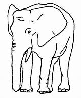 Elefant Zum Ausdrucken Ausmalen  Kostenlos Malvorlagen Und sketch template