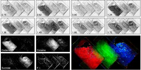 Chemical imaging demonstration with a target made of three partially ...