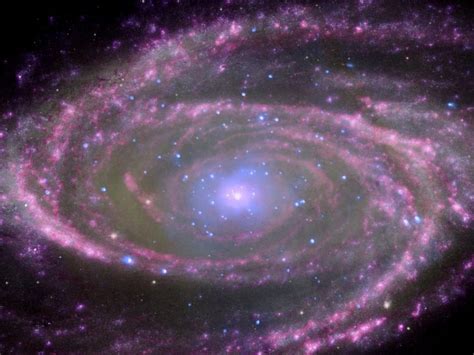 Bode's Galaxy (M81): Grand Design Spiral Galaxy in Ursa Major – Constellation Guide