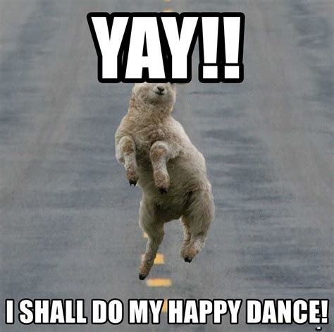 Happy Dance Meme Discover more interesting Animal, Cat, Crazy, Cute ...