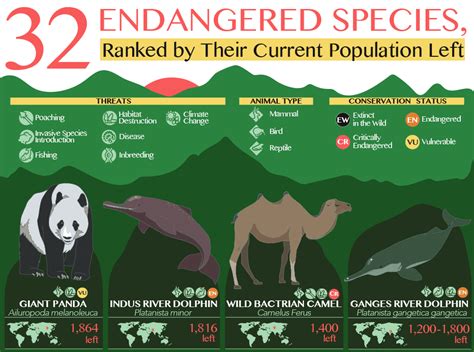 32 Endangered Species, Ranked by Their Current Population Left [Infographic]
