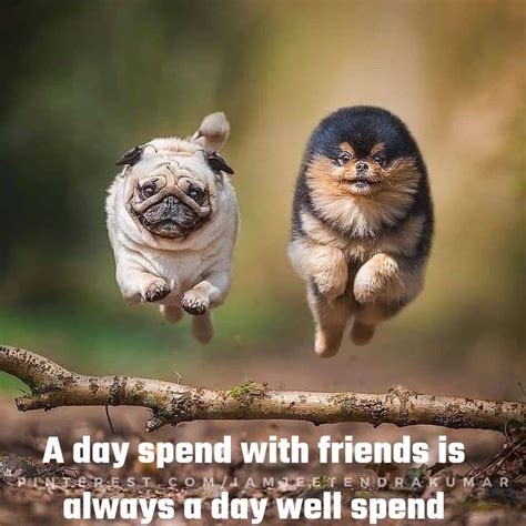 Animal Quotes, Friendship Latest Quotes, Animal Friendship Quotes ...