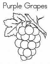 Grapes Coloring Page At GetColoringscom  Free Printable Colorings sketch template